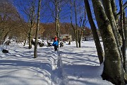 Salita pomeridiana al MONTE SUCHELLO (1541 m) ben innevato da Costa Serina 1l 10 marzo 2016  - FOTOGALLERY